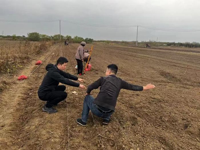 駐村工作隊引進山東專業(yè)種植人員指導村民栽植花卉。郭瓊攝