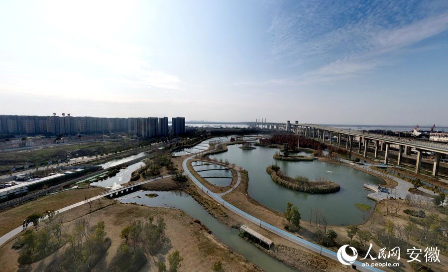 航拍朱家橋尾水凈化生態(tài)公園。人民網(wǎng) 王銳攝