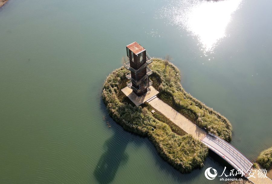 航拍朱家橋尾水凈化生態(tài)公園一景。人民網(wǎng) 王銳攝