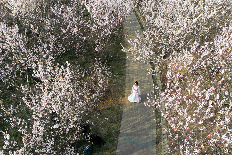 花海中的游客。陶俊攝