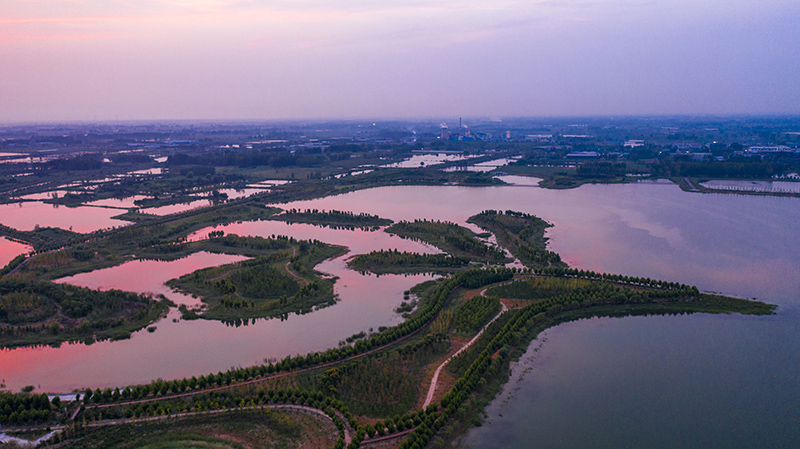 風(fēng)景旖旎的鳳棲湖濕地公園。濉溪縣委宣傳部供圖