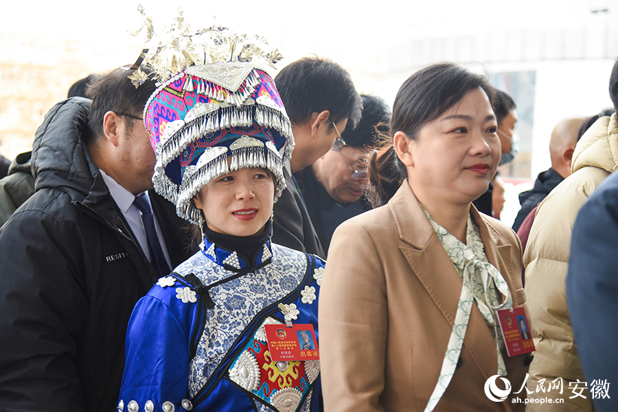 委員步入會(huì)場(chǎng)。人民網(wǎng)記者 王銳攝