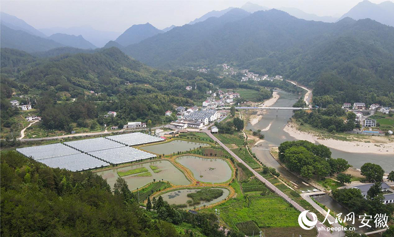 航拍岳西縣菖蒲鎮(zhèn)毛畈村。人民網(wǎng)記者 王銳攝