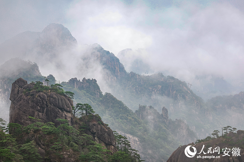 中國黃山。人民網(wǎng)記者 張俊攝