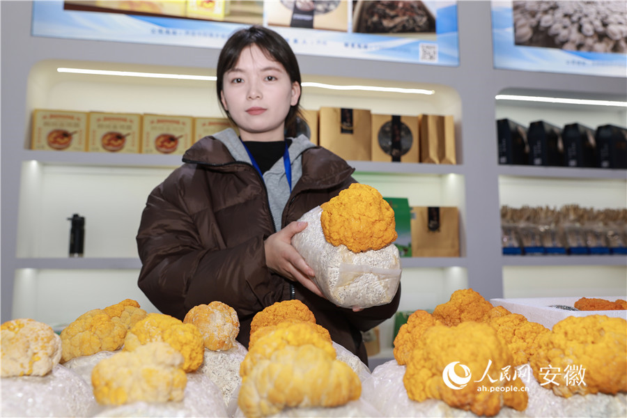 用秸稈種出的金耳。人民網(wǎng)記者 張俊攝