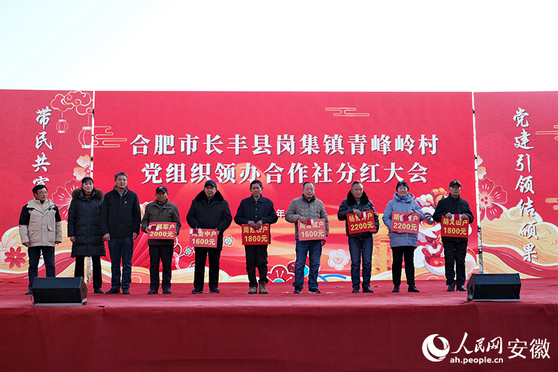 青峰嶺村黨組織領(lǐng)辦合作社分紅大會(huì)。人民網(wǎng) 丁紀(jì)攝