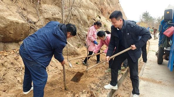 植樹現(xiàn)場。