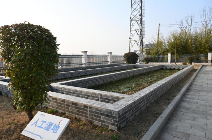 污水處理后建立的人工濕地。杜剛 攝