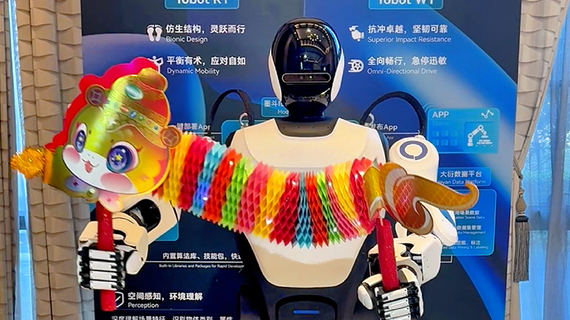 “yobot”人形機(jī)器人雙手舞龍。鳩江區(qū)委宣傳部供圖
