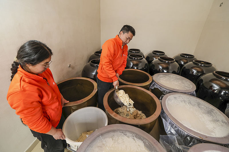 糖化好的酒釀要充分打散入酵缸進(jìn)行二次發(fā)酵。