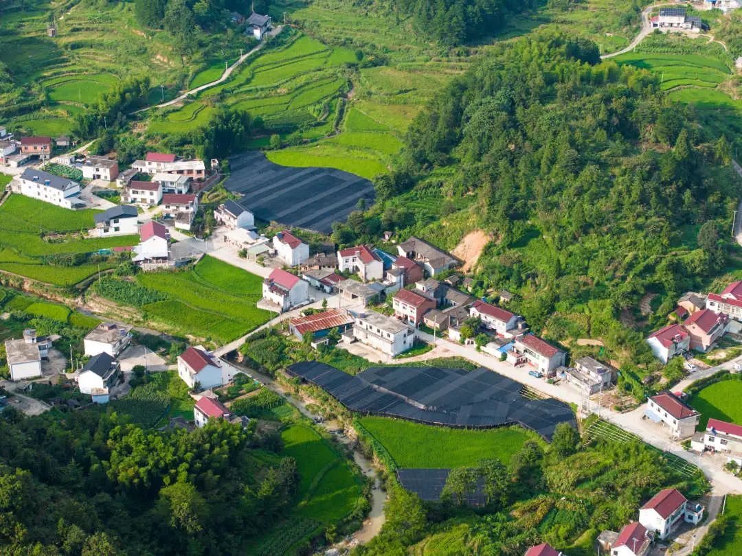 潛山市三里鎮(zhèn)鄉(xiāng)村景色。周嘯勤攝